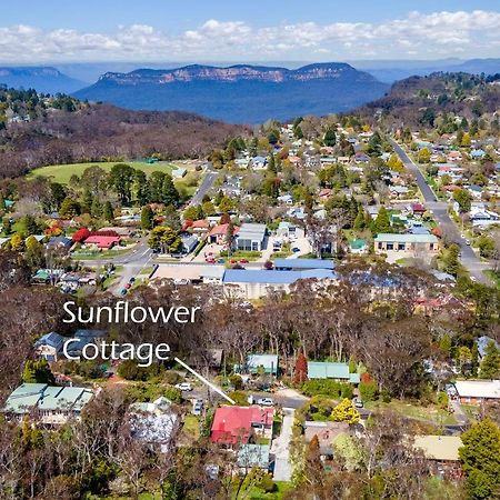 Sunflower Cottage Katoomba Esterno foto