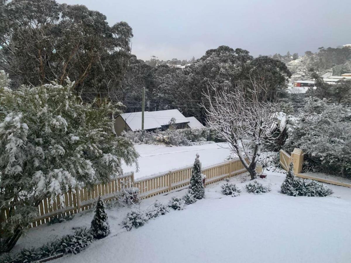 Sunflower Cottage Katoomba Esterno foto
